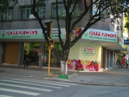 Floricultura Maxx Flowers