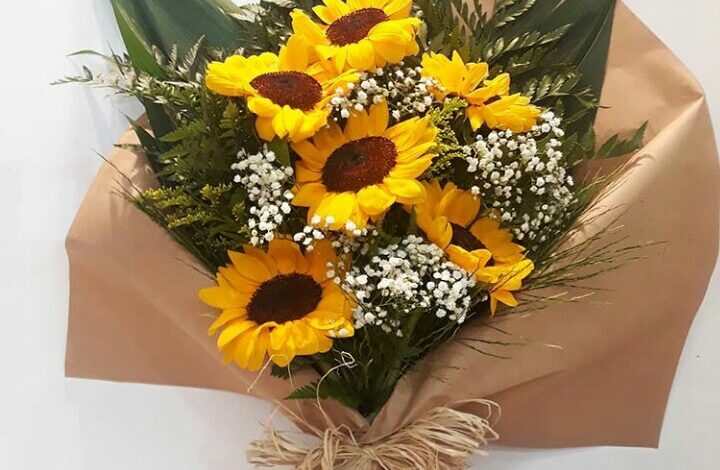 Girassol: A flor da Felicidade