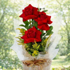 Trio de Rosas Clean