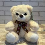 Urso PP Fofinho - 15cm