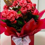 Begônia Rainha Rosa