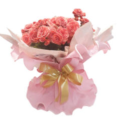 Begônia Rosa