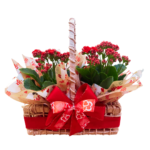 Calandiva na Cestinha 2