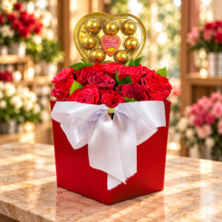 Box Diva 2