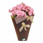 Begônia Rosa no Cone