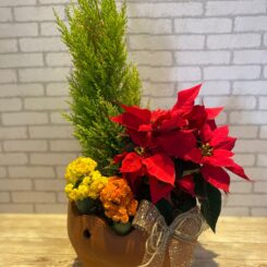 Coquetel MIX 4 - Vaso de Barro