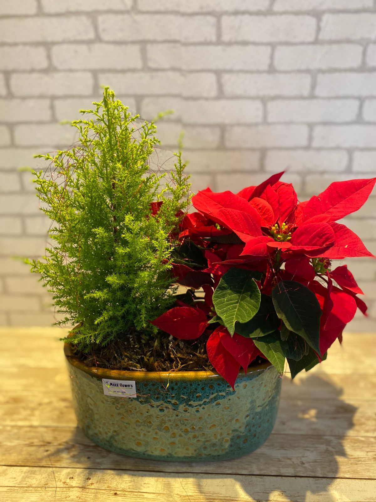 Coquetel MIX 5 - Vaso de Cerâmica