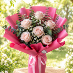 Buque coreano rosa, tamanho M