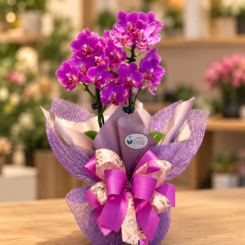 Mini Orquidea Especial 2
