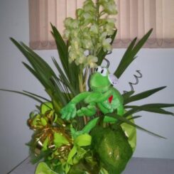 Cymbidium